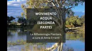 IL MOVIMENTO ACQUA (SECONDA PARTE) - La Riflessologia Plantare, a cura di Anna Erranti
