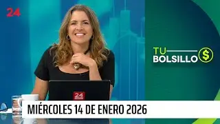 Tu Bolsillo: comenzaron rebajas de verano y tips para cuidar a tus plantas | 24 Horas TVN Chile