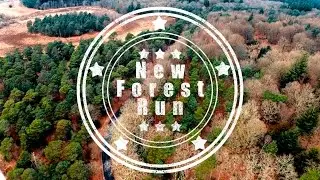 New Forest Run: Triumph GT6 Short Film