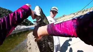 Multiespecies en el rio