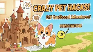 🐕‍🦺 Lil Corgi’s Day of Fun! Cardboard Crafts & Clever DIY Hacks ✨🐱