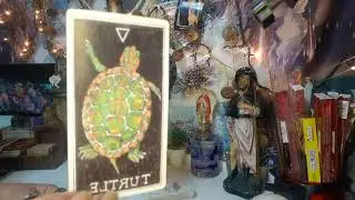 💃 LIBRA - NOVO AMOR 💘 , VAI CHEGAR QUERENDO OCULTAR O QTO JA EST&Aacute; ENVOLVIDO, MAS &Ntilde; VAI RESISTIR A VC