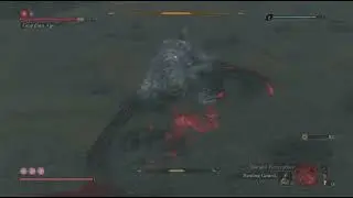 Sekiro: Shadows Die Twice_ first attempt dual fight