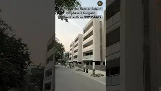 Dlf floor phase 3 Gurgaon || Connect with us 9811154472