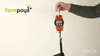 Tower Crane Scale: Safe and Precise Scales for Hanging Cranes