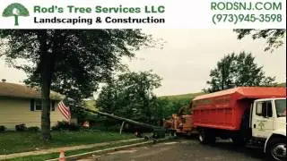 Morris County NJ Tree Service