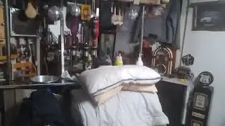 Ketunkolo kämpän baaritiskistä työkalu kaappi äijjä meinigillä