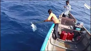 The Ultimate Surmai Fishing Adventure - Deep Sea Excursion