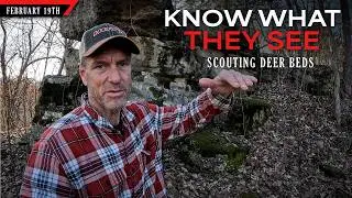 Scouting Deer Beds - Learn What They can See | Bowhunting Whitetails w/ Bill Winke
