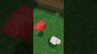 Chicken Kick #minecraft #shorts #TimeShowPlay