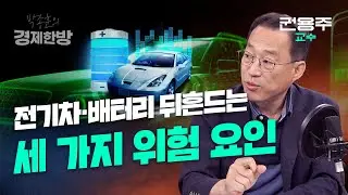 전기차 뒤흔드는 세가지 위험 요인 (권용주 교수)