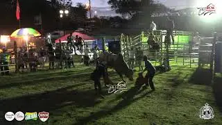 Toros en Tradicional Fiesta de año Nuevo en Llano de La Cruz de Parita 2 de enero de 2025