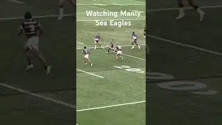 Watching Manly Sea Eagles #shorts #rugbyleague #rugby #manly #sea #eagles #seaeagles