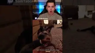 DO NOT PET THE DOG