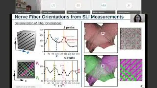 HBP Tea & Slides Session II - 7 May 2020