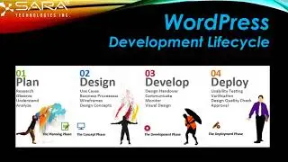 WordPress Development Company