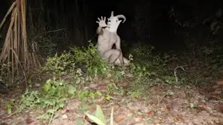 CABRA CABRIOLA A CRIATURA MONSTRUOSA FOI FINALMENTE VISTA (FOLCLORE BRASILEIRO)