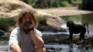 Stress: Portrait Of A Killer [Full NatGeo Documentary]