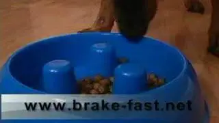 brake-fast: Slows the Chow Down