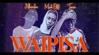 Mask Off x Tasso x Nhembe_-_Waipisa (Visualiser)
