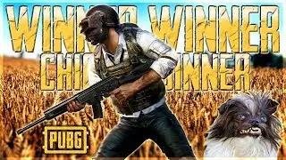 PUBG - 🐶 POCHINKARDO TE NECESITAMOS 🐶 &iquest;VICTORIAS?