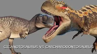 GIGANOTOSAURUS VS CARCHARODONTOSAURUS || Prior Extinction