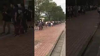 The Endless Queue in Japan during Summer #japan #summer #shorts
