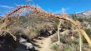 Colby canyon to Josephine saddle