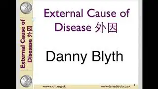 External causes of disease in Traditional Chinese Medicine