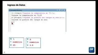 MATLAB Sentencia input