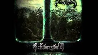 Nord Frost - Schwarzwald III (2014)