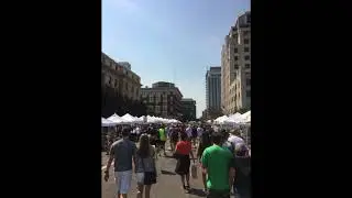 boise murmur project