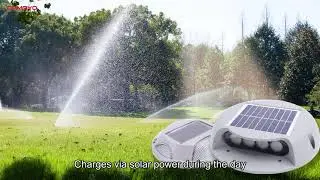 🚢 Solar-Powered Marine LED Flood Lights! 4W Spot + 2W 360&deg; Deck Lighting