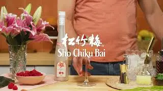 How To Drink Sake - Raspberry Lychee Cosmo