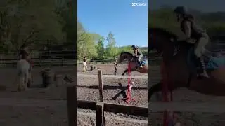 rocky❤️🫶🏻 #dc #horse #foryou #equestrian #riding #horseriding #jumping