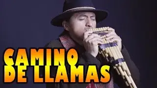 Uña Ramos || CAMINO DE LLAMAS || Flute Music