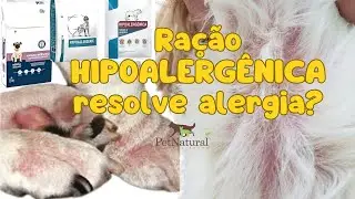 Ração Hipoalergênica melhora alergia em cães e gatos?