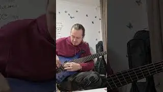 Ibanez EHB 1505MS-PLF quick check