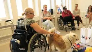 Terapihund  Hj&auml;rna Tillsamm