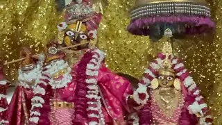 Shri Govind Dev Ji ki Gwal Jhanki श्री गोविन्द देव जी की ग्वाल आरती #17_january_2026 #saturday #love