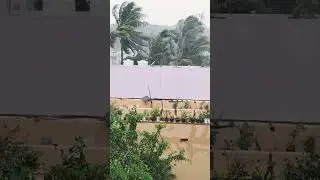 #cyclone #montha #odisha #youtubeshorts #live #trending #viral