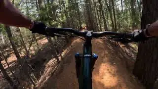 Stellenbosch MTB Eden Forest (New) Old Line