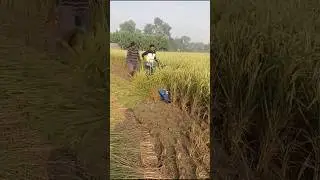 BCS Self Propelled Reaper | Part - 2 | Kisan Engineering Works |