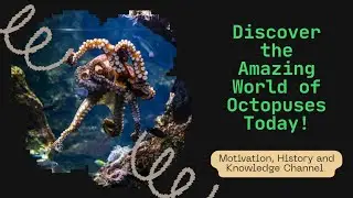 8 Arms, 3 Hearts, and One Amazing Brain &ndash; The Incredible Octopus.
