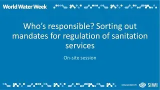Who&rsquo;s responsible? Sorting out mandates for regulation of sanitation services