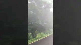 Amboli ghat monsoon | Daytime weather | rain in Konkan