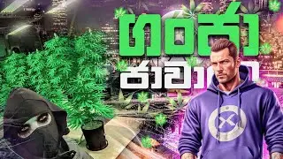 SLMTA Marijuana Farm  & Business Introduction - ONLINELK Role Play