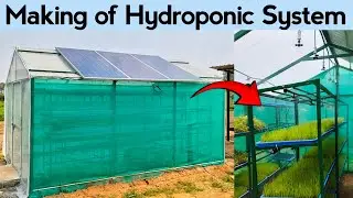 How to setup Vertical Hydroponic System with Solar Based fogger irrigation