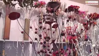 Nagaland : State Pavilion : IITF 2013 : Pragati Maidan Trade Fair : New Delhi