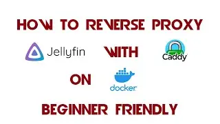 How to Reverse Proxy Jellyfin with Caddy on Docker (Beginner Friendly)